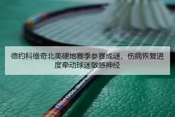 de-yue-ke-wei-qi-bei-mei-ying-di-sai-ji-can-sai-cheng-mi-shang-bing-hui-fu-jin-du-qian-dong-qiu-mi-min-gan-shen-jing-2-849.jpg
